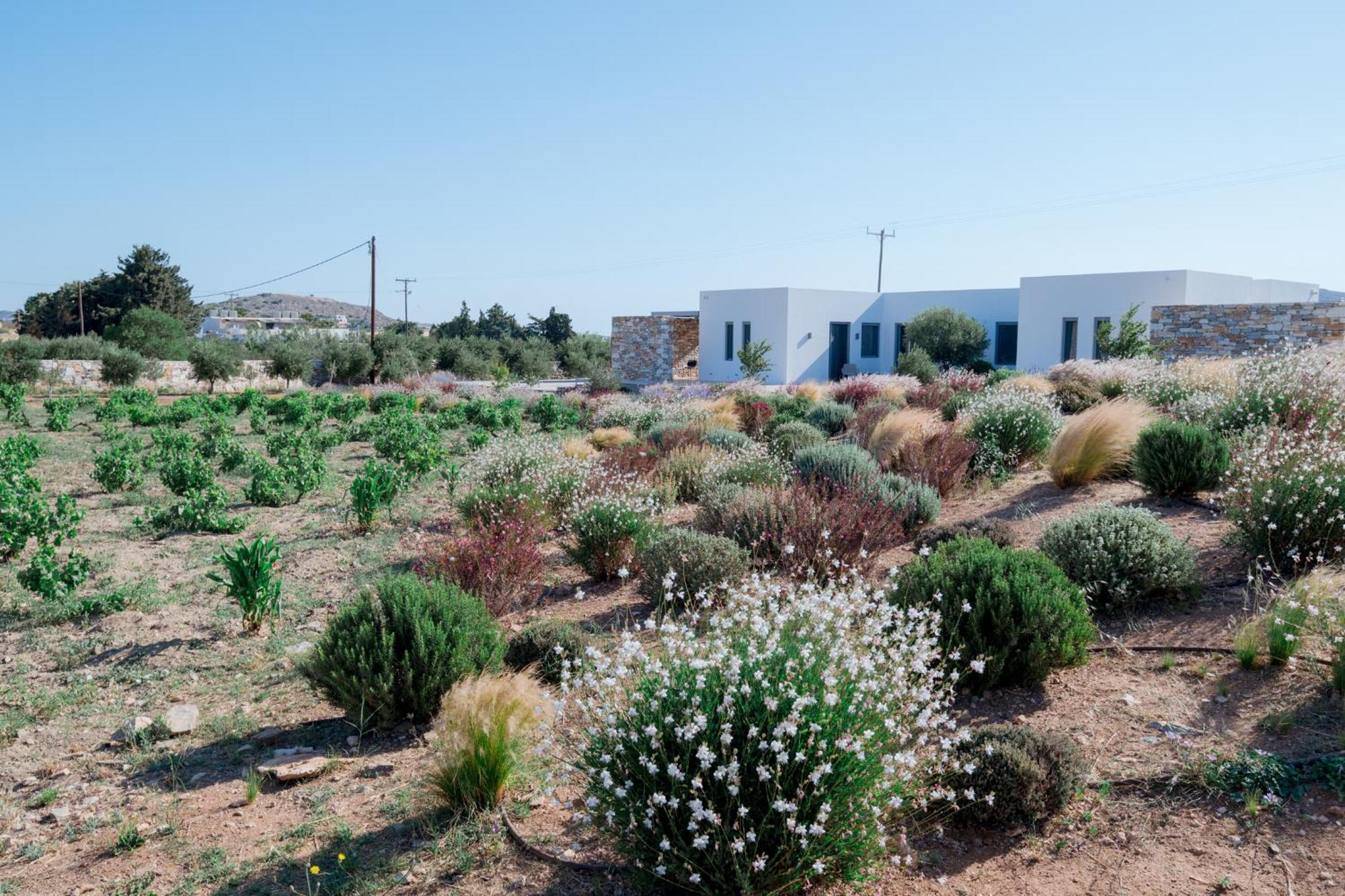 Bracket House Paros Villa Dhragoulas Exterior photo